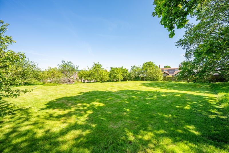 Garden- click for photo gallery